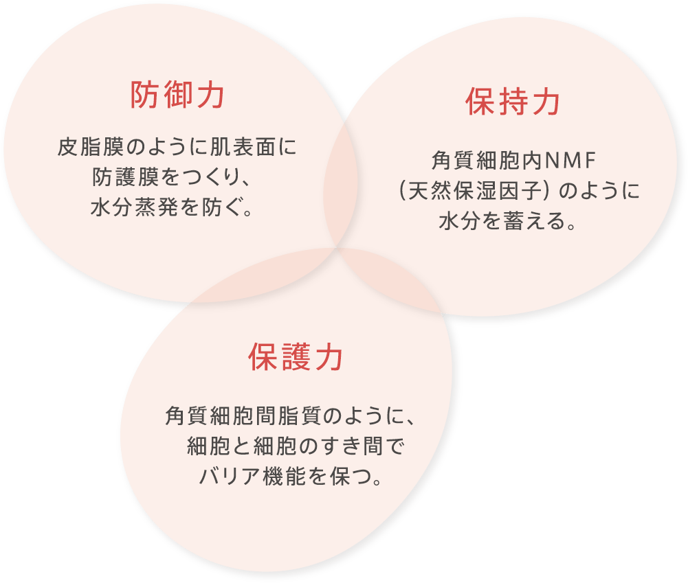 3つのポイント