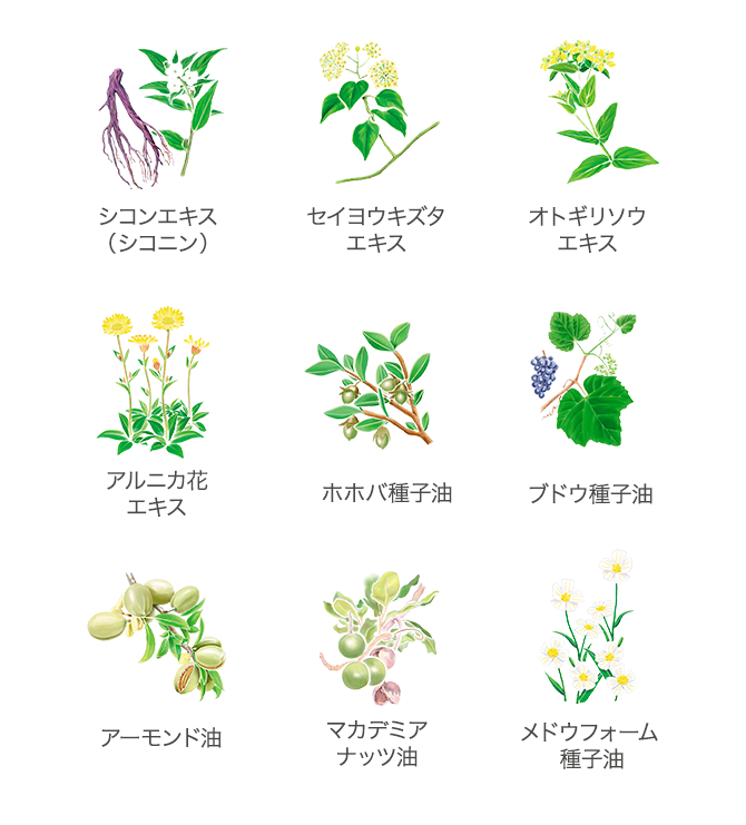 植物性セラミドの保湿力比較