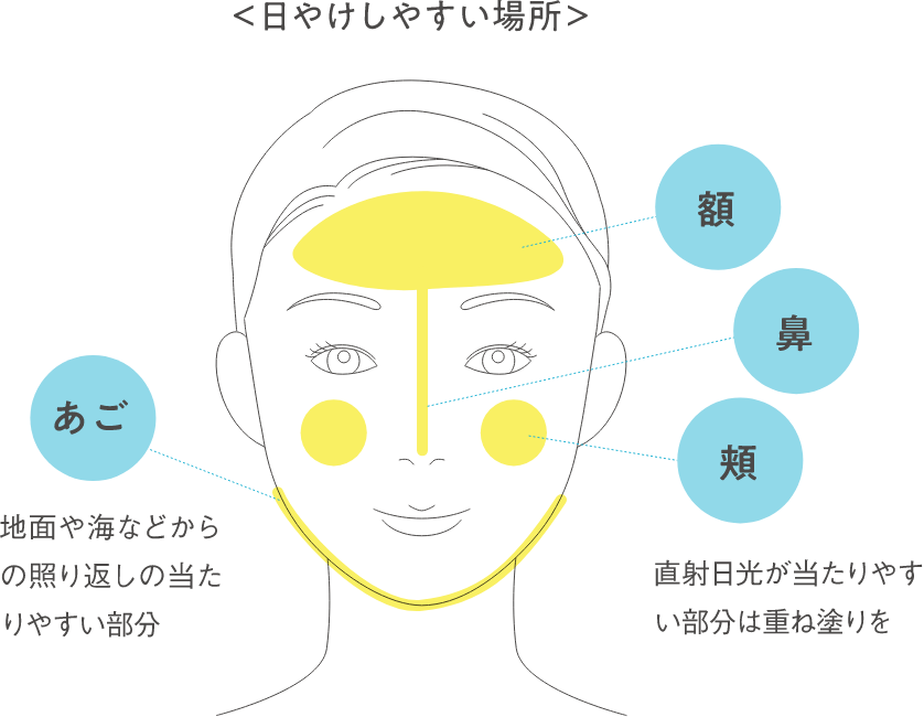 ＜日焼しやすい場所＞