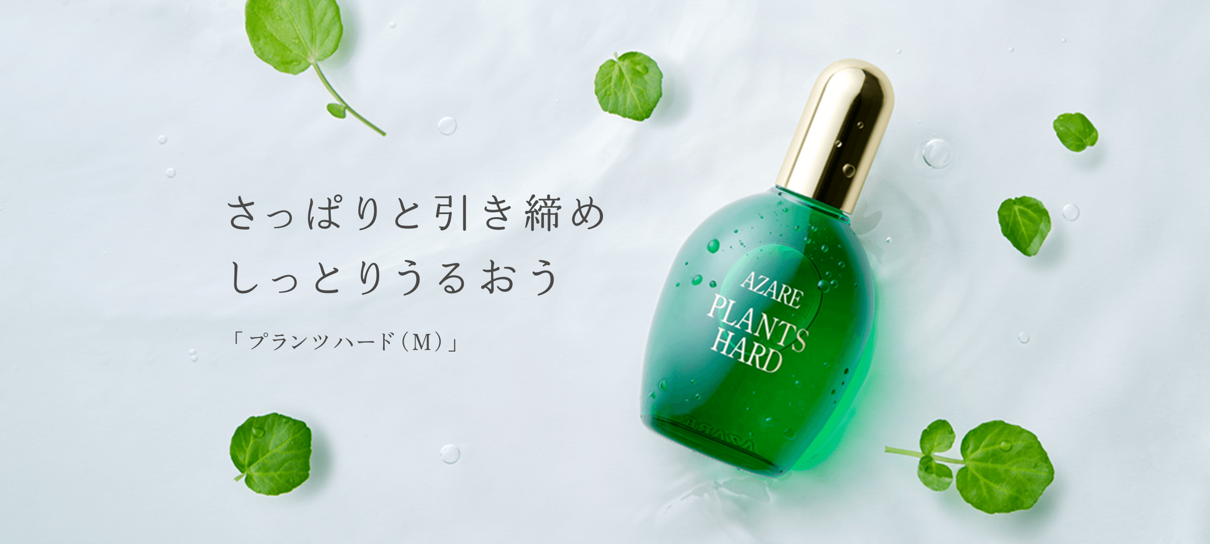 プランツハード