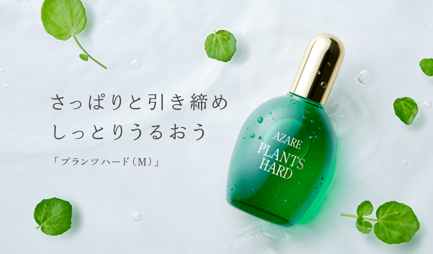 プランツハード